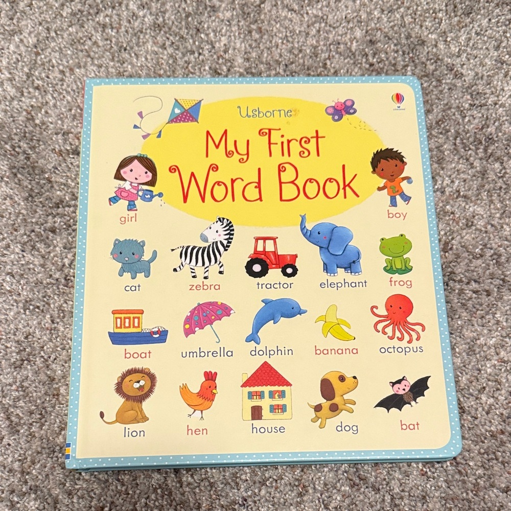Usborne My First Word Book